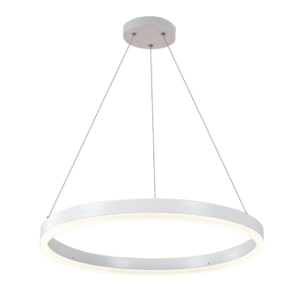 Tronic Architectural Hanging Light