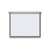 Multimedia Projector Wall Mount Screen 145 x 145cm