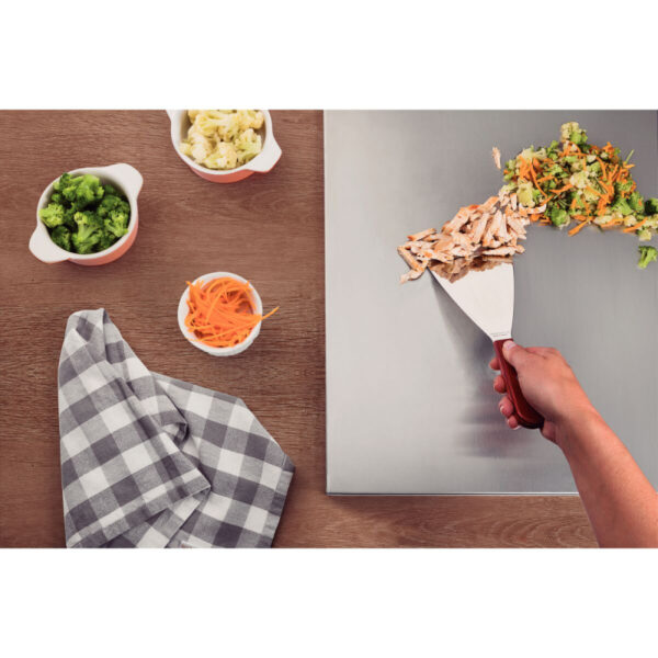 Tramontina Scraper Spatula 5" Stainless Steel Blade, Red Polywood Treated Wood Handle 21166/175