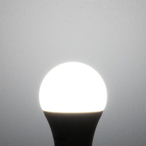 Tronic 25 Watts LED A6 Bulb B22 (Pin)