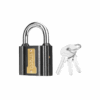 Ingco Iron Padlock 75mm DIPL0701