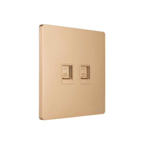 Tronic 2 Gang Data Socket