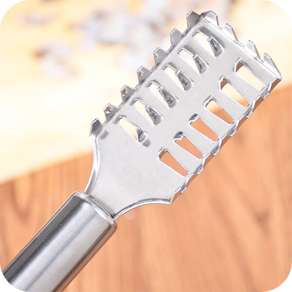 Fish Scale Remover Fast Planing & Scraping Stainless Steel