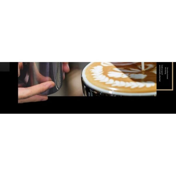 Gemilai Commercial Coffee & Espresso Machine Double Head
