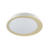 Tronic White With Yellow Half Moon LED Changeable (3 Shades) Ceiling light