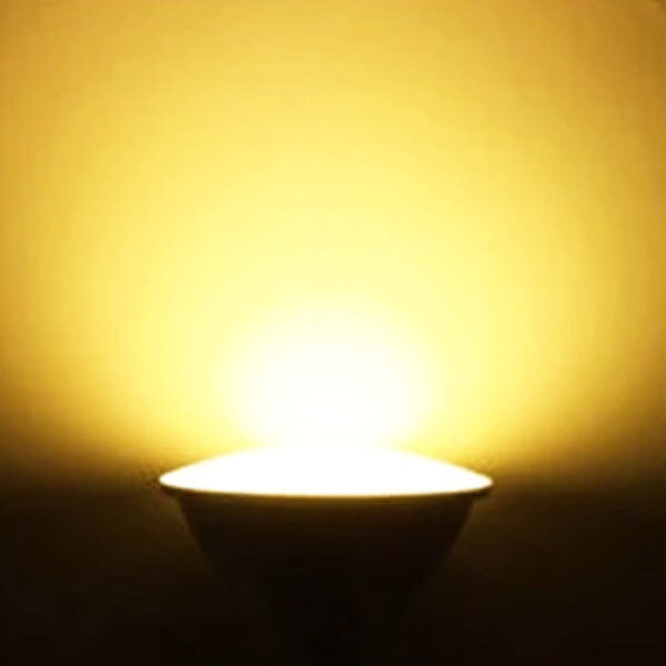 Tronic PAR30 12 Watts Warm White LED Bulb