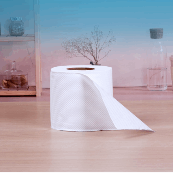 Soft n Cool Toilet Roll 400 Sheets x 2 Ply (Pack of 10)