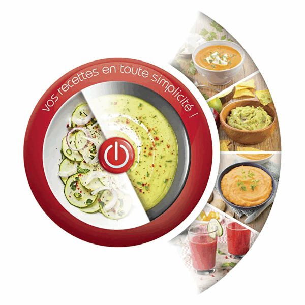 Moulinex Hand Blender Easy Chef with Beaker 450W Plastic Shaft DD45A127