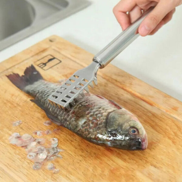 Fish Scale Remover Fast Planing & Scraping Stainless Steel