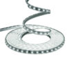 Tronic 6W LED Series Light 50 Meters Without Adaptor EST 2835-EC-50