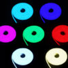 Tronic Single Sided LED Neon Strip Light in 5 Meters