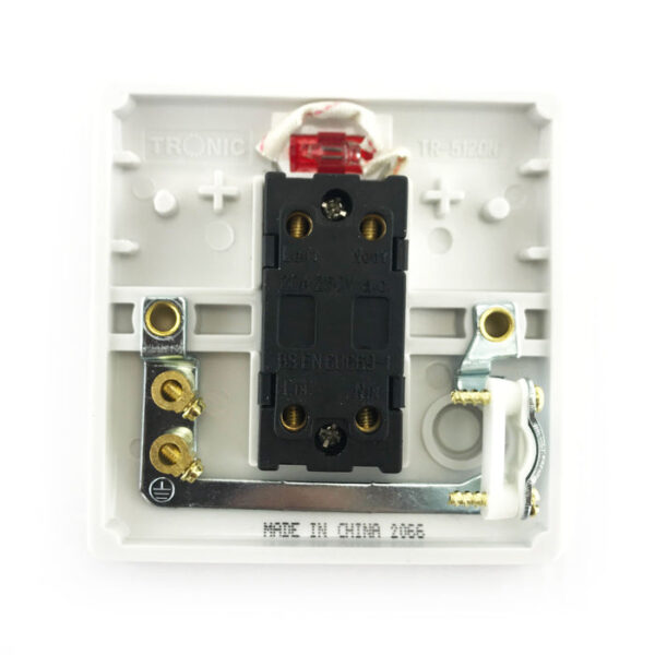 Tronic DP Switch with Neon 20Amps