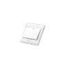 Total 1 Gang Switch Electric 1 Way 16A THESSH01101