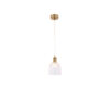 Tronic Pendant Lamp PL 2024-16-GL-CL