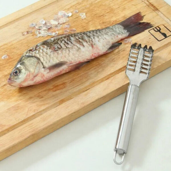 Fish Scale Remover Fast Planing & Scraping Stainless Steel