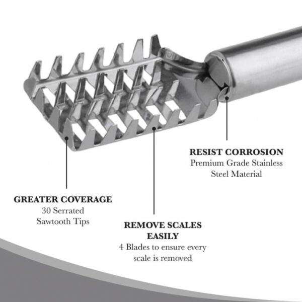 Fish Scale Remover Fast Planing & Scraping Stainless Steel