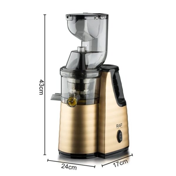 RAF Slow Juicer 1L 150W 2in1 Food Grade Material, Large Caliber, Seven Segment Extrusion Screw Shaft R.2838