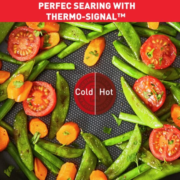 Tefal Dark Stone Cookware Set 9PCS Non Stick Thermo Signal 100% Safe Coating Cookware Heat Indicator Ergonomic Handles Glass Lid B491S985
