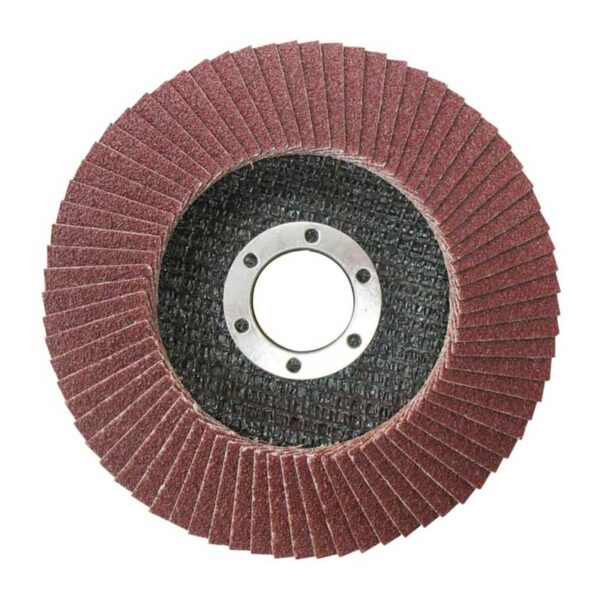 Total Flap Disc 115mm P60 TAC631152