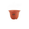 Cello Planter 3 Multi-Color 233 x 150mm (Pack of 12)