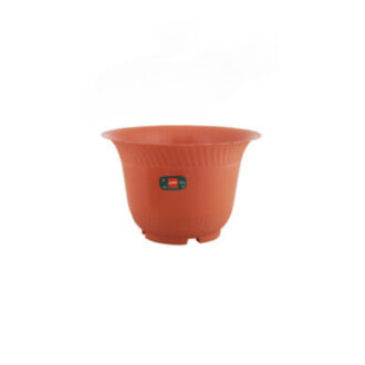 Cello Planter 3 Multi-Color 233 x 150mm (Pack of 12)