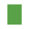 Special Colour Manilla Sheet A4 160gsm 100 Sheets Green P06942