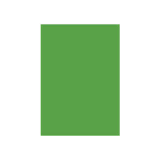 Special Colour Manilla Sheet A4 160gsm 100 Sheets Green P06942