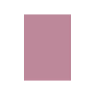 Special Colour Manilla Sheet A4 160gsm 100 Sheets Pink P06944