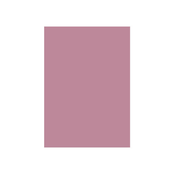 Special Colour Manilla Sheet A4 160gsm 100 Sheets Pink P06944
