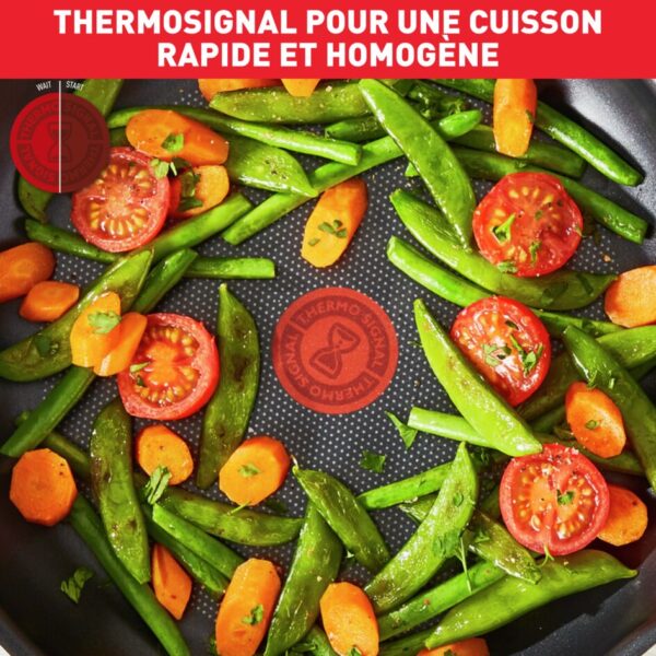 Tefal Dark Stone Cookware Set 11PCS Non Stick Thermo Signal 100% Safe Stewpots 22/24 CM + Lids Saucepan 18 CM Frypan 28 CM Wokpan 28 CM Spoon Ladle B491SB85