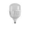 Tronic 100 Watts LED E27 (Screw) Bulb
