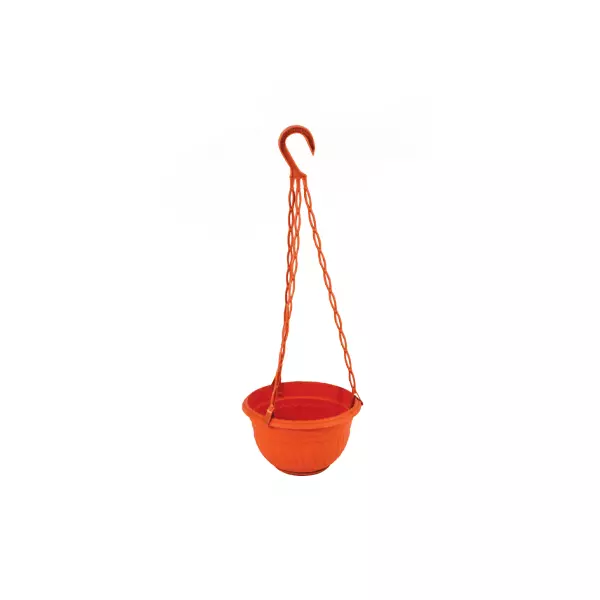 Cello Hanging Planter Medium Multi-Color 195 X 490Mm (Pack Of 6) 1 Cello Hanging Planter Medium Multi-Color 195 X 490Mm (Pack Of 6)