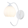Tronic Modern Wall Lamp with Glass Shade
